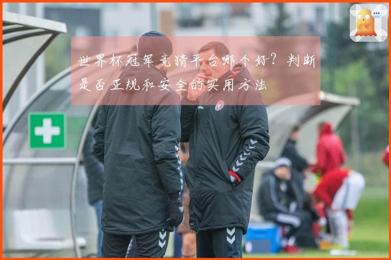 世界杯冠军竞猜平台哪个好？判断是否正规和安全的实用方法
