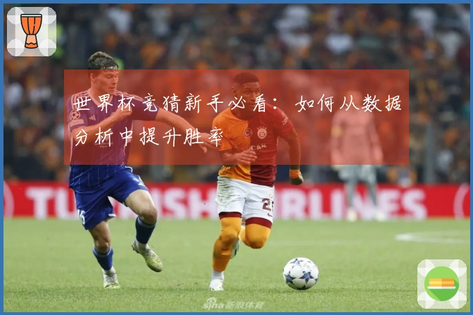 世界杯竞猜新手必看：如何从数据分析中提升胜率