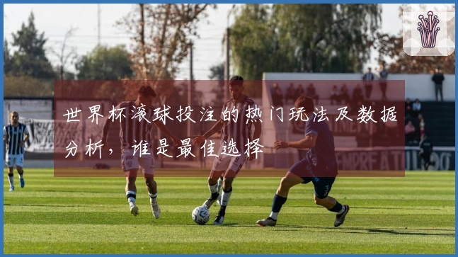 世界杯滚球投注的热门玩法及数据分析，谁是最佳选择