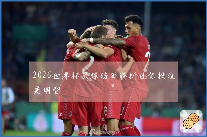 2026世界杯买球赔率解析让你投注更明智