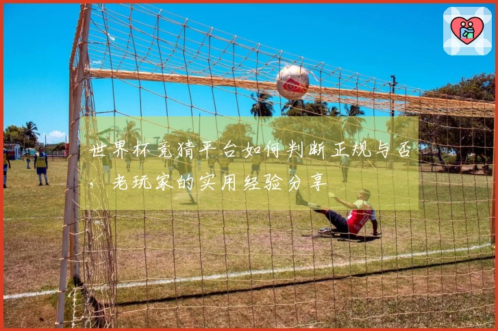 世界杯竞猜平台如何判断正规与否，老玩家的实用经验分享