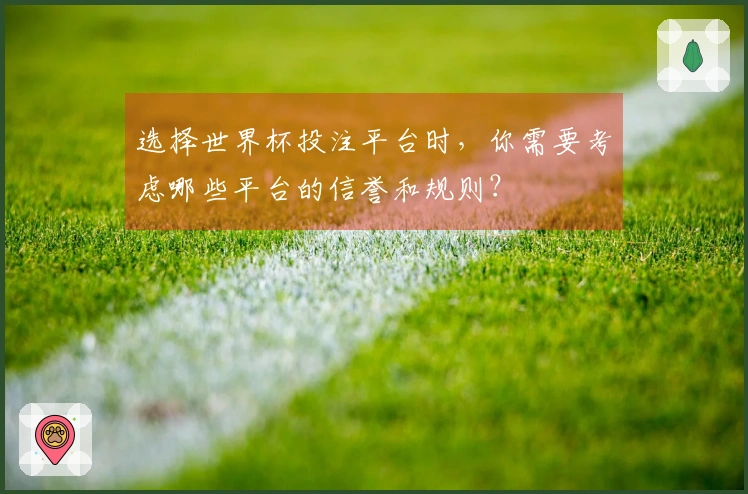 选择世界杯投注平台时，你需要考虑哪些平台的信誉和规则？