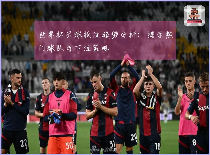 世界杯买球投注趋势分析：揭示热门球队与下注策略