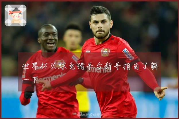 世界杯买球竞猜平台新手指南了解一下