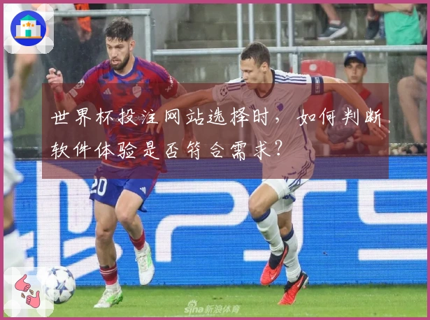 世界杯投注网站选择时，如何判断软件体验是否符合需求？