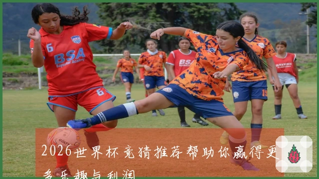 2026世界杯竞猜推荐帮助你赢得更多乐趣与利润