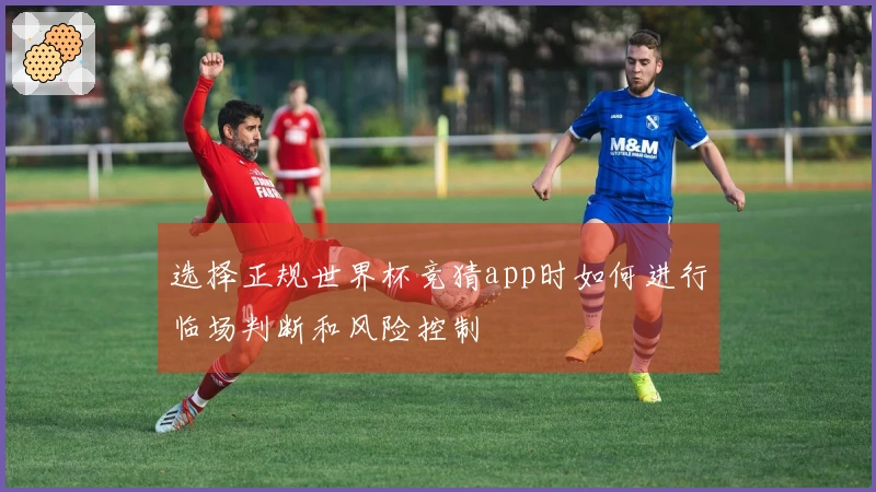 选择正规世界杯竞猜app时如何进行临场判断和风险控制