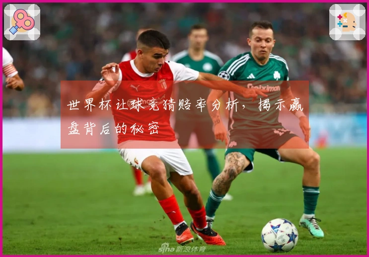 世界杯让球竞猜赔率分析，揭示赢盘背后的秘密