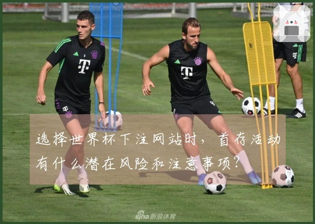 选择世界杯下注网站时，首存活动有什么潜在风险和注意事项？