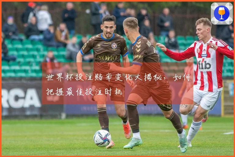 世界杯投注赔率变化大揭秘，如何把握最佳投注时机
