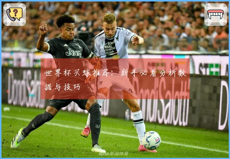 世界杯买球推荐：新手必看分析数据与技巧