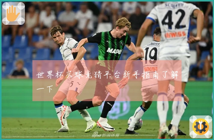 世界杯买球竞猜平台新手指南了解一下