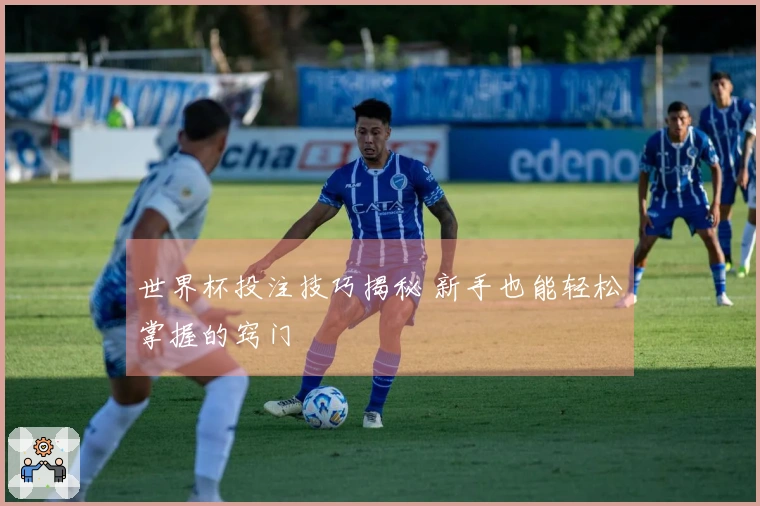 世界杯投注技巧揭秘 新手也能轻松掌握的窍门