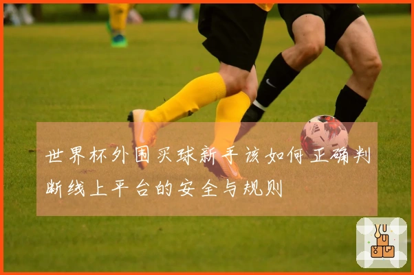 世界杯外围买球新手该如何正确判断线上平台的安全与规则
