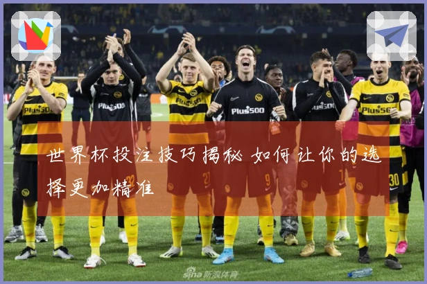 世界杯投注技巧揭秘 如何让你的选择更加精准