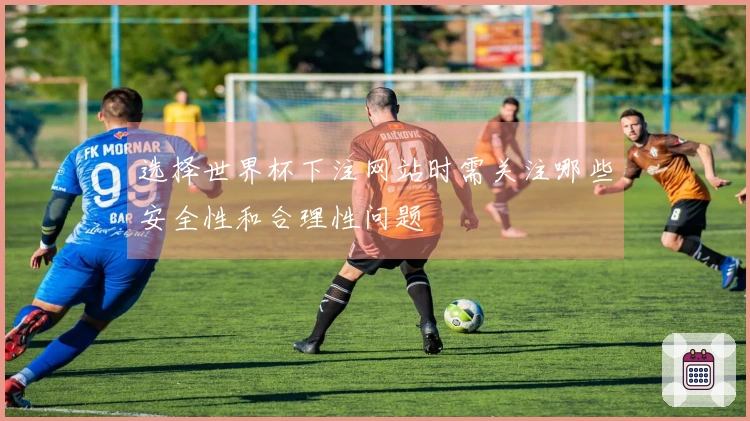 选择世界杯下注网站时需关注哪些安全性和合理性问题