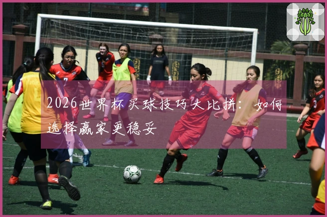 2026世界杯买球技巧大比拼：如何选择赢家更稳妥