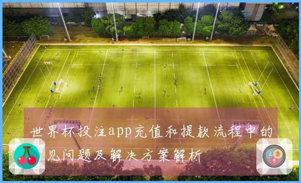 世界杯投注app充值和提款流程中的常见问题及解决方案解析