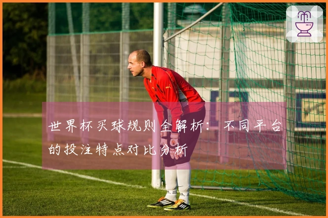 世界杯买球规则全解析：不同平台的投注特点对比分析