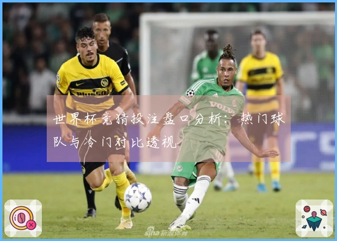 世界杯竞猜投注盘口分析：热门球队与冷门对比透视