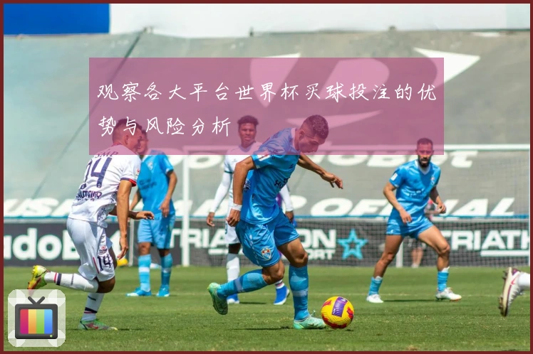 观察各大平台世界杯买球投注的优势与风险分析
