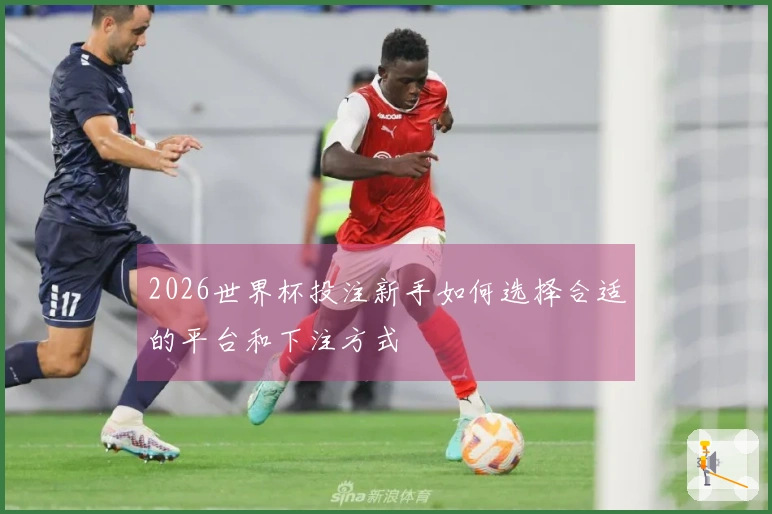 2026世界杯投注新手如何选择合适的平台和下注方式