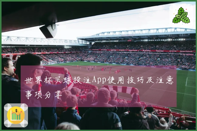 世界杯买球投注App使用技巧及注意事项分享