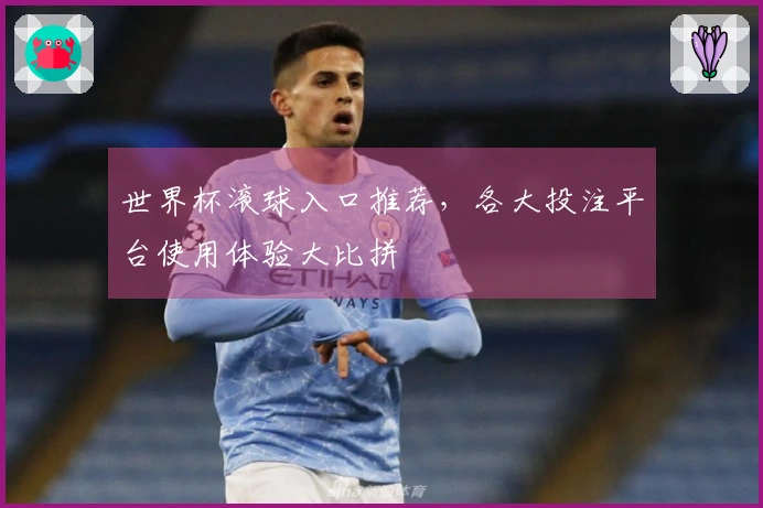 世界杯滚球入口推荐，各大投注平台使用体验大比拼