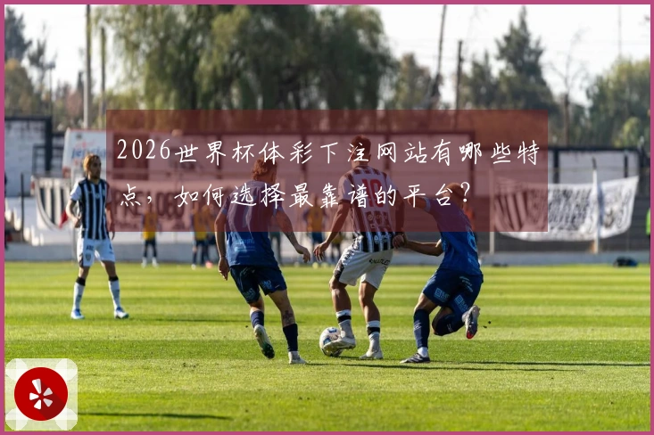 2026世界杯体彩下注网站有哪些特点，如何选择最靠谱的平台？