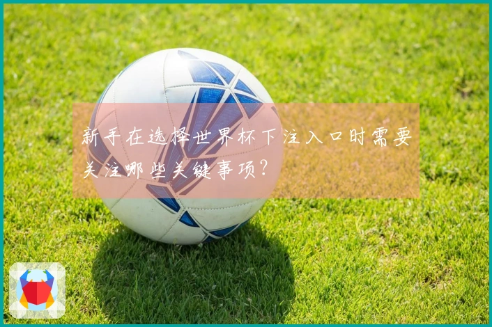 新手在选择世界杯下注入口时需要关注哪些关键事项？