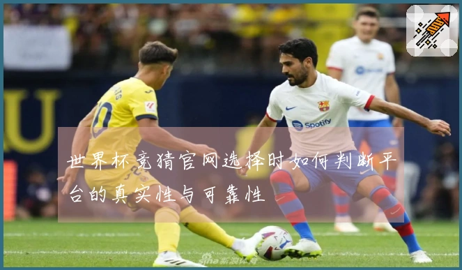 世界杯竞猜官网选择时如何判断平台的真实性与可靠性