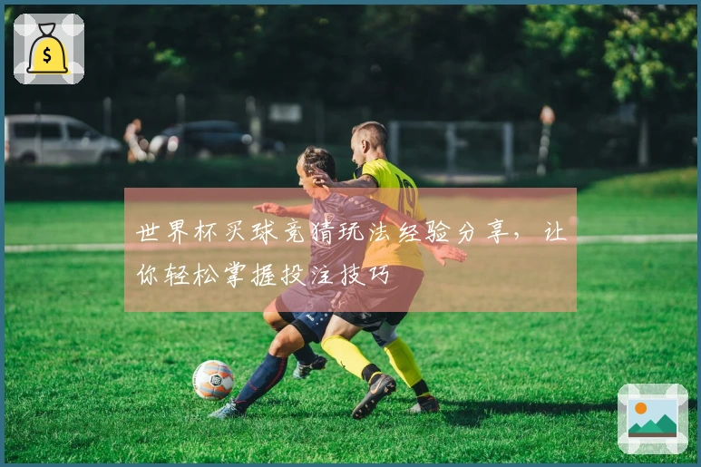 世界杯买球竞猜玩法经验分享，让你轻松掌握投注技巧
