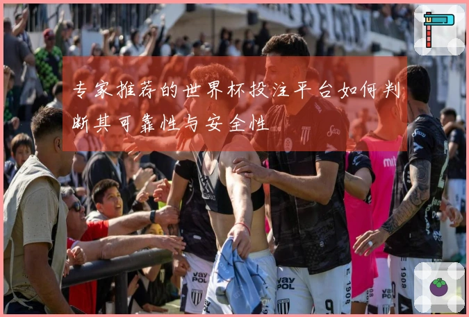 专家推荐的世界杯投注平台如何判断其可靠性与安全性