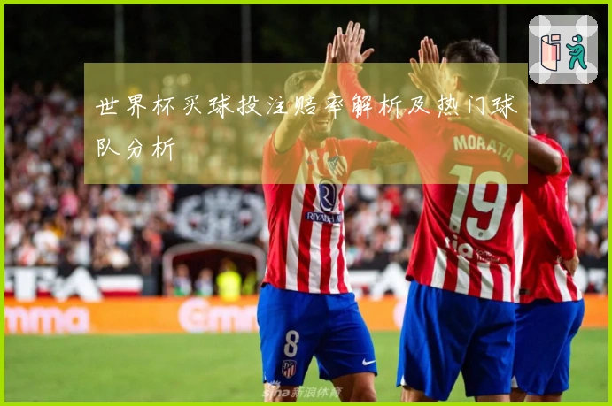 世界杯买球投注赔率解析及热门球队分析