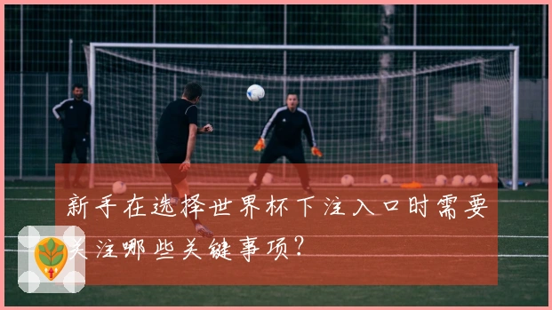 新手在选择世界杯下注入口时需要关注哪些关键事项？