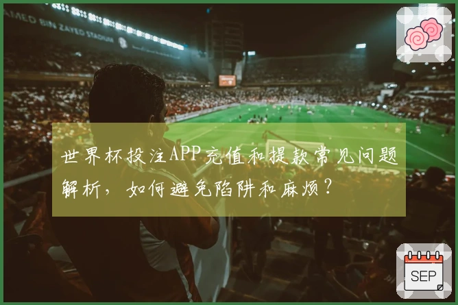 世界杯投注APP充值和提款常见问题解析，如何避免陷阱和麻烦？