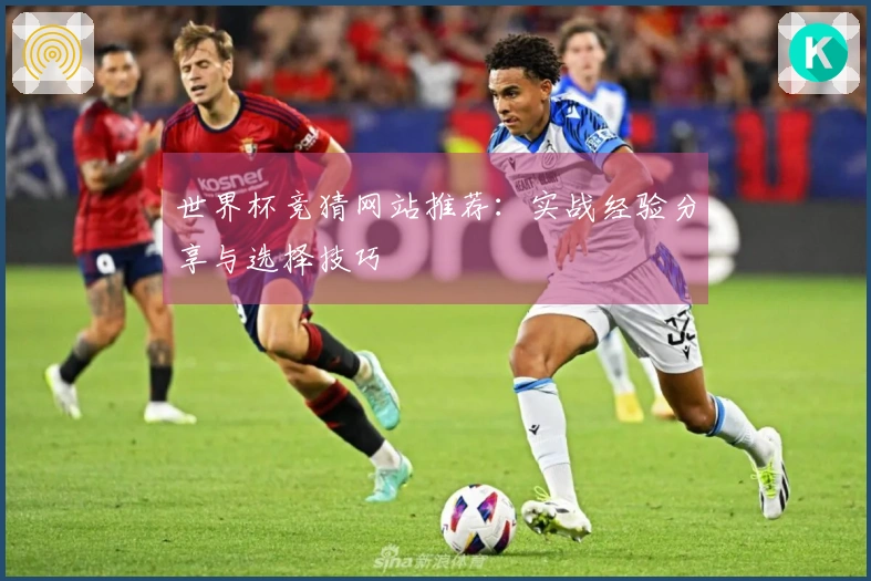 世界杯竞猜网站推荐：实战经验分享与选择技巧