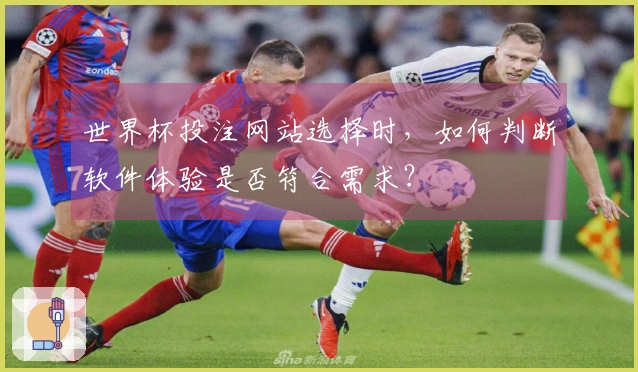 世界杯投注网站选择时，如何判断软件体验是否符合需求？