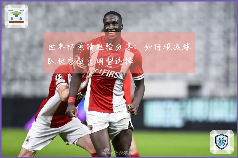 世界杯竞猜经验分享：如何根据球队状态做出明智选择