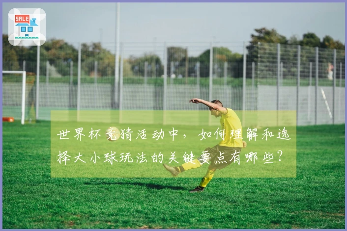 世界杯竞猜活动中，如何理解和选择大小球玩法的关键要点有哪些？