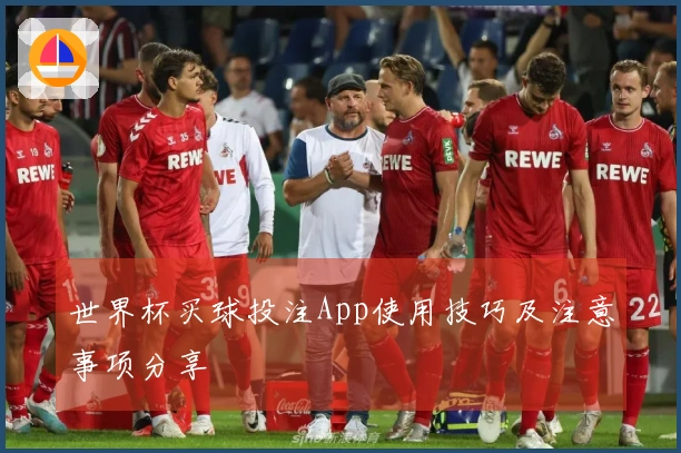 世界杯买球投注App使用技巧及注意事项分享