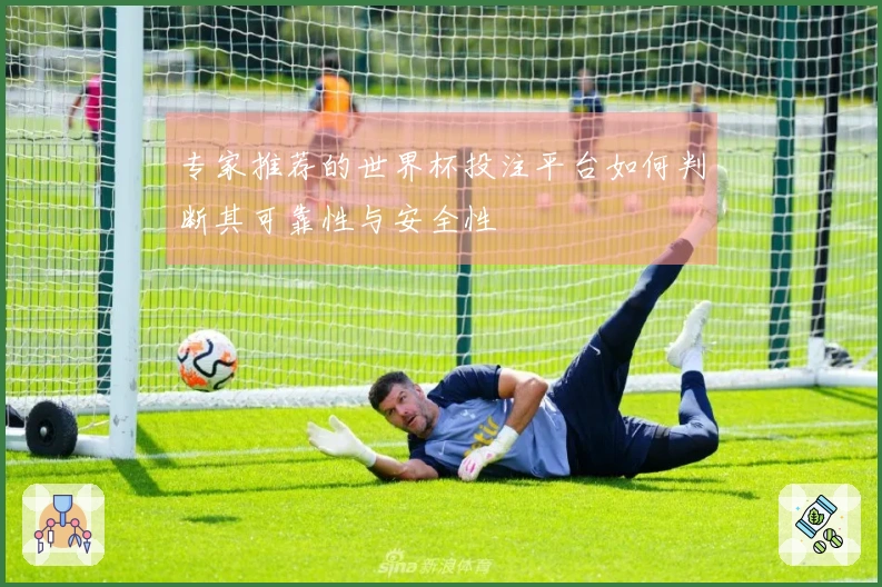 专家推荐的世界杯投注平台如何判断其可靠性与安全性