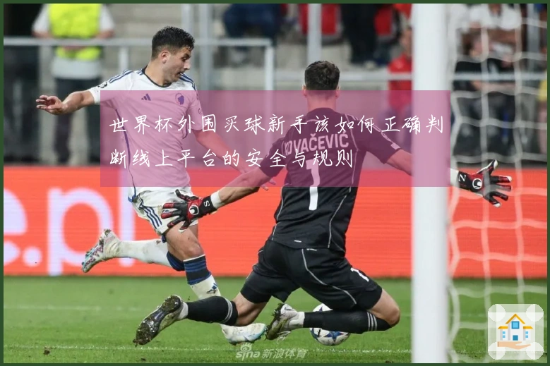 世界杯外围买球新手该如何正确判断线上平台的安全与规则