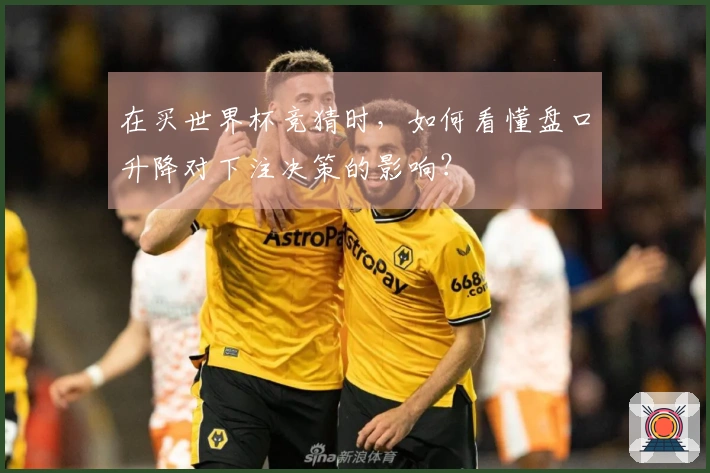 在买世界杯竞猜时，如何看懂盘口升降对下注决策的影响？